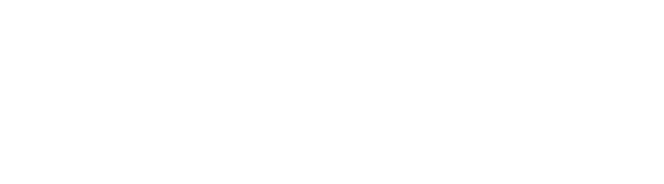 Raccoon Media Group